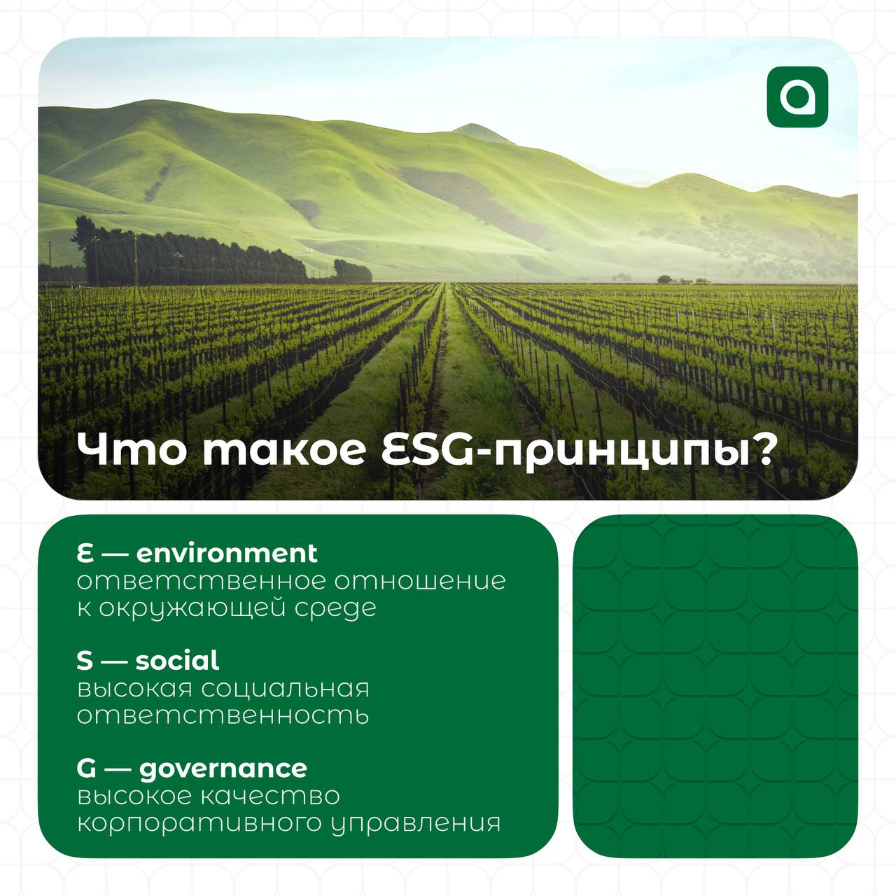 АРМ.Эко снова на связи! Ты когда-нибудь слышал о ESG-принципах?
Аббревиатуру ESG можно расшифровать как «экология, социальная политика и корпоративное управление» | Сетка — социальная сеть от hh.ru
