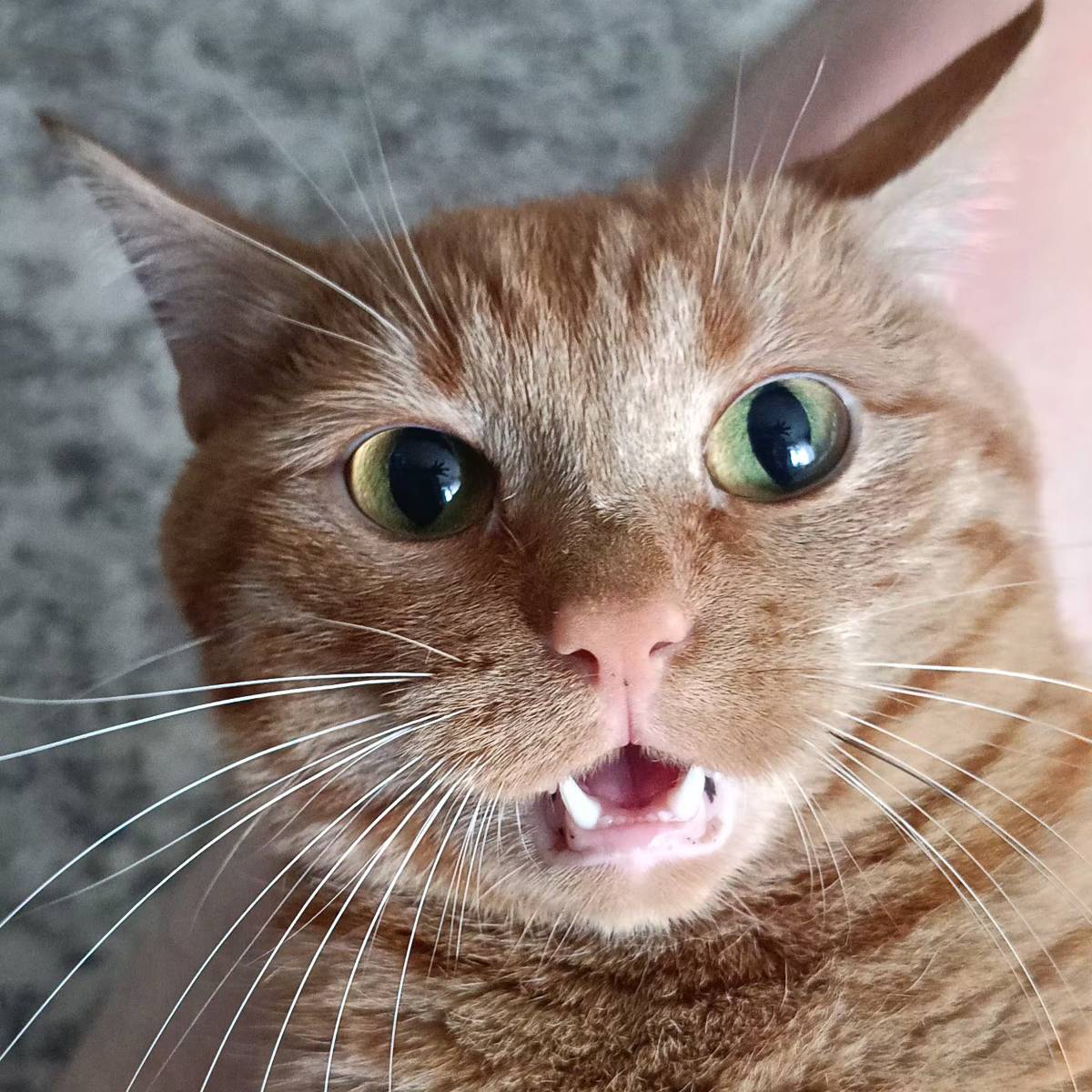 Вадим Савин | Сетка — социальная сеть от hh.ru