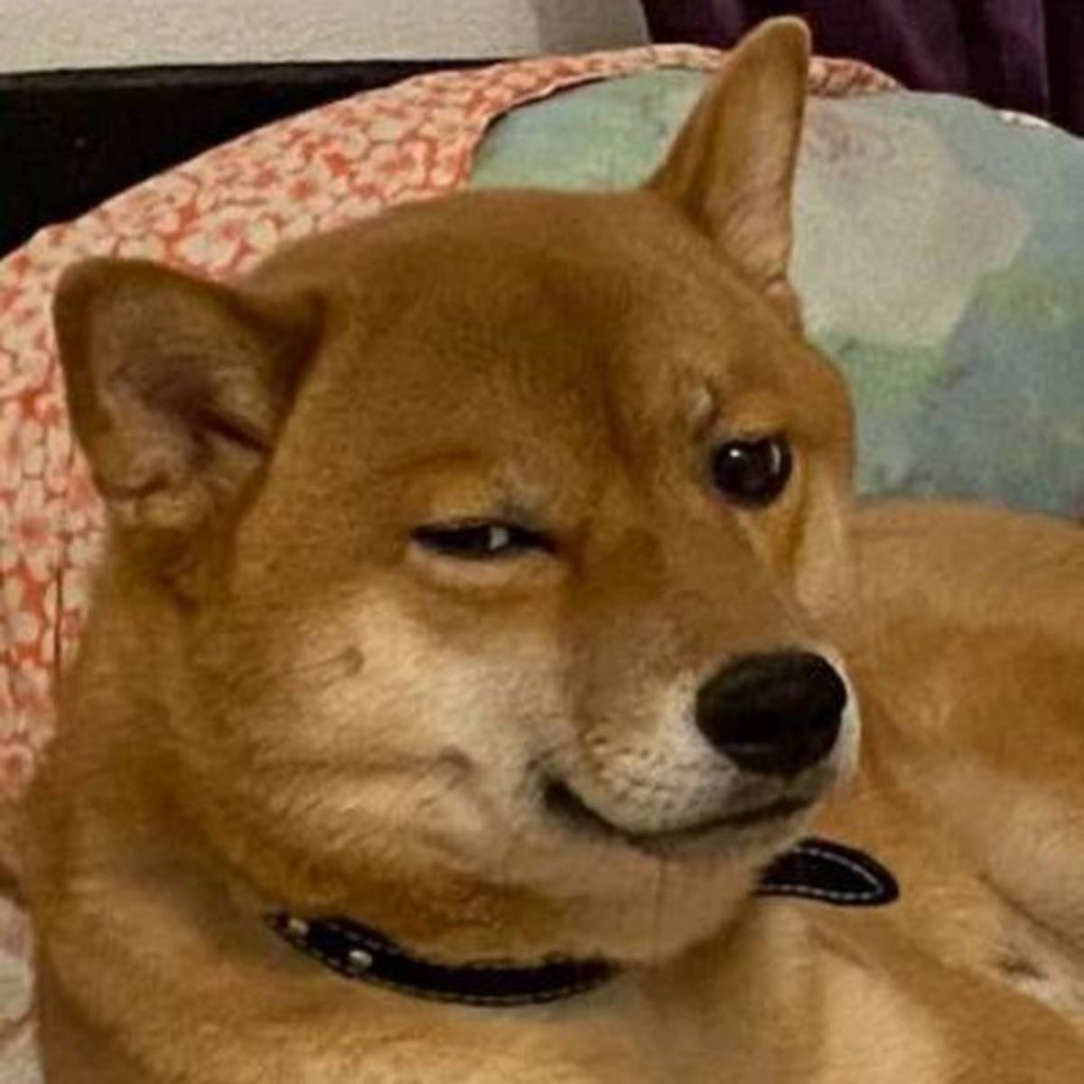 Дмитрий Демьянов | Сетка — социальная сеть от hh.ru