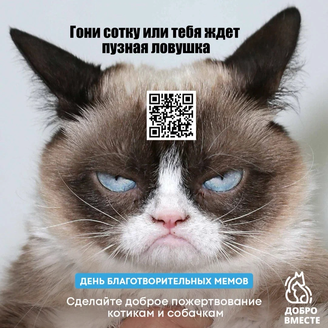 Присоединяюсь к марафону от фонда «Добро вместе» и коллег из Affect!
Как участвовать:
1. Сканируйте QR-код или переходите по ссылке, чтобы сделать пожертвование.
2 | Сетка — социальная сеть от hh.ru