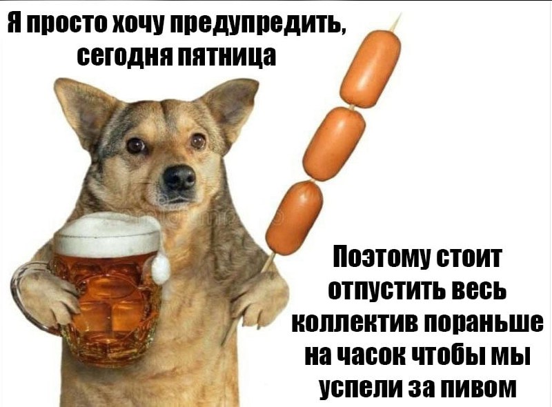 ➡️ отправь в телеге мем коллеге | Сетка — социальная сеть от hh.ru