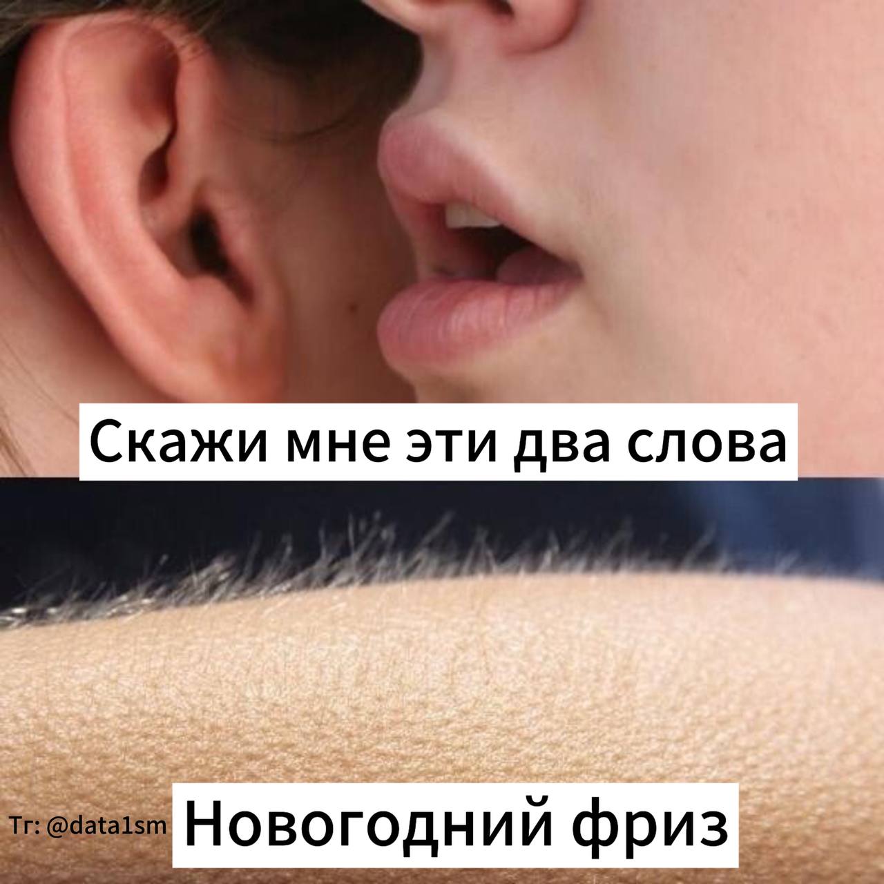 С какого-то декабря во всех it-компаниях страны🐾 | Сетка — социальная сеть от hh.ru