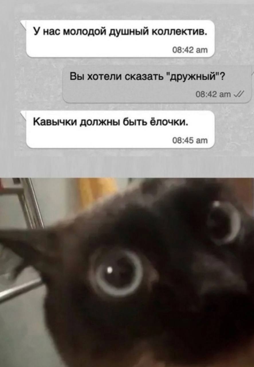 Собрали все посты недели в один: 
➡️ что плохо влияет на результат при поиске работы?
➡️ рубрика “вопрос-ответ” - вы пишете свои вопросы по карьере, а мы на них отвечаем
➡️ кейс с программы CV/CL/Link... | Сетка — социальная сеть от hh.ru