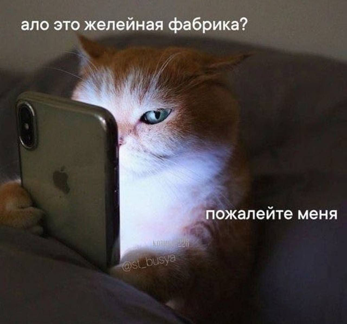 Кажется в декабре будут только мемы
Только выжить | Сетка — социальная сеть от hh.ru