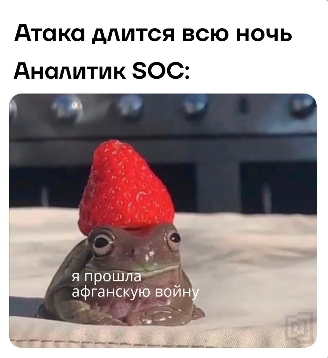 Желаем вам отоспаться в эти снежные выходные 🦖
#безопасныймем
🏠 Кибердом & Бизнес | Сетка — социальная сеть от hh.ru