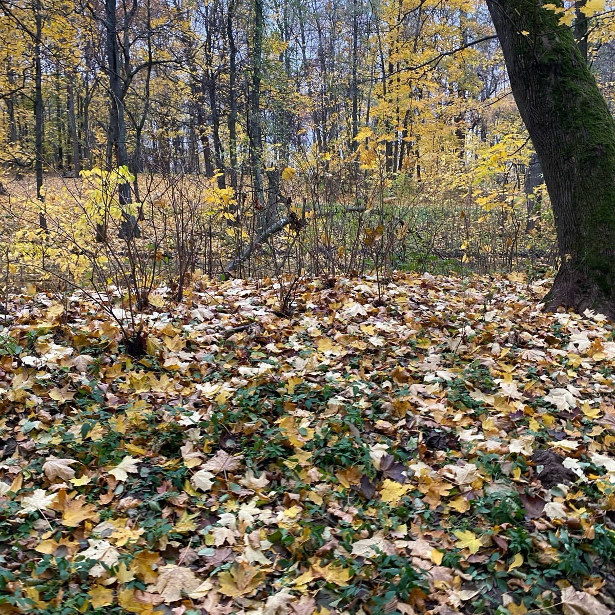 Алексей Корытин | Сетка — социальная сеть от hh.ru