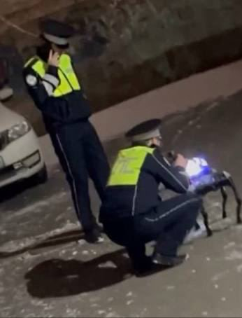 Киберпанк наступил: в Москве задержали робопса-наркокурьера
Задержание произошло около метро «Печатники» | Сетка — социальная сеть от hh.ru