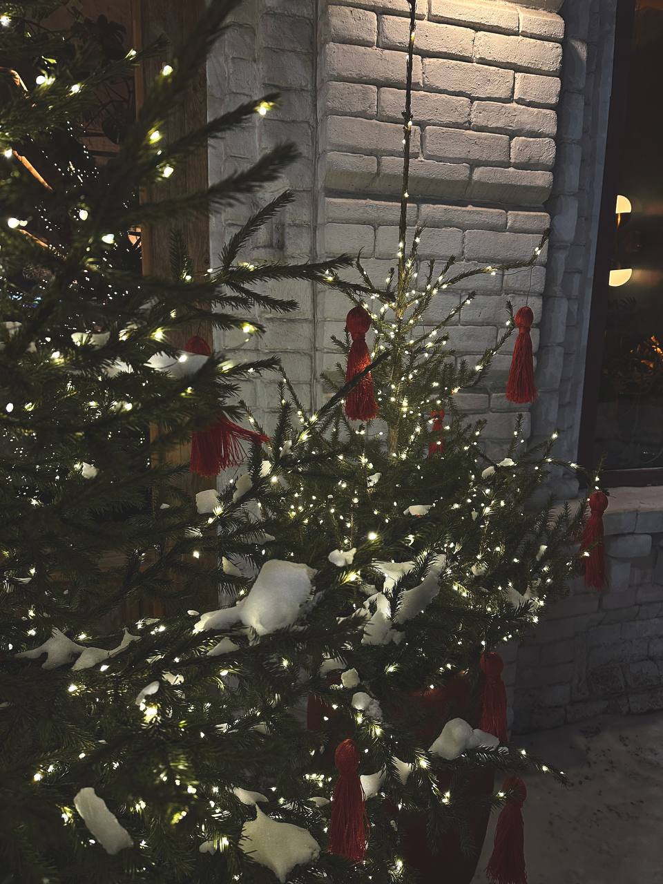 Сегодня открыли новую локацию для прогулок, 6 км по зимнему лесу натоптали🌲 пару раз почти заблудились, устали, но остались очень довольны своим походом 💪 а завершили день в красивом заведении под вку... | Сетка — социальная сеть от hh.ru