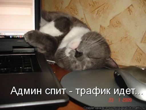 Да, я 🤔 | Сетка — социальная сеть от hh.ru