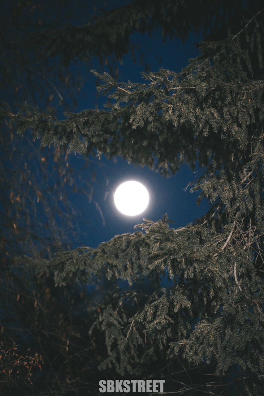 ❤️ 3 | 🌕 | ➡️ sbkstreet
- в хорошем качестве в комментариях | Сетка — социальная сеть от hh.ru