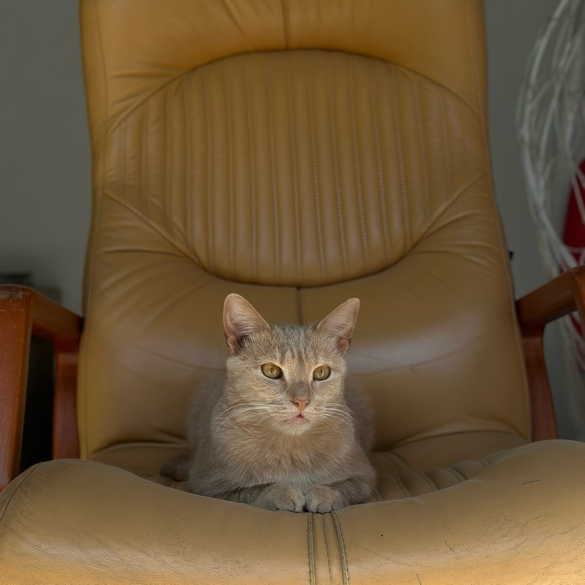 Евпатория работает