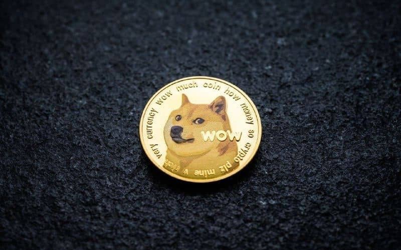 Эксплойт Dogereaper вывел из строя 69% нод блокчейна Dogecoin | Сетка — социальная сеть от hh.ru