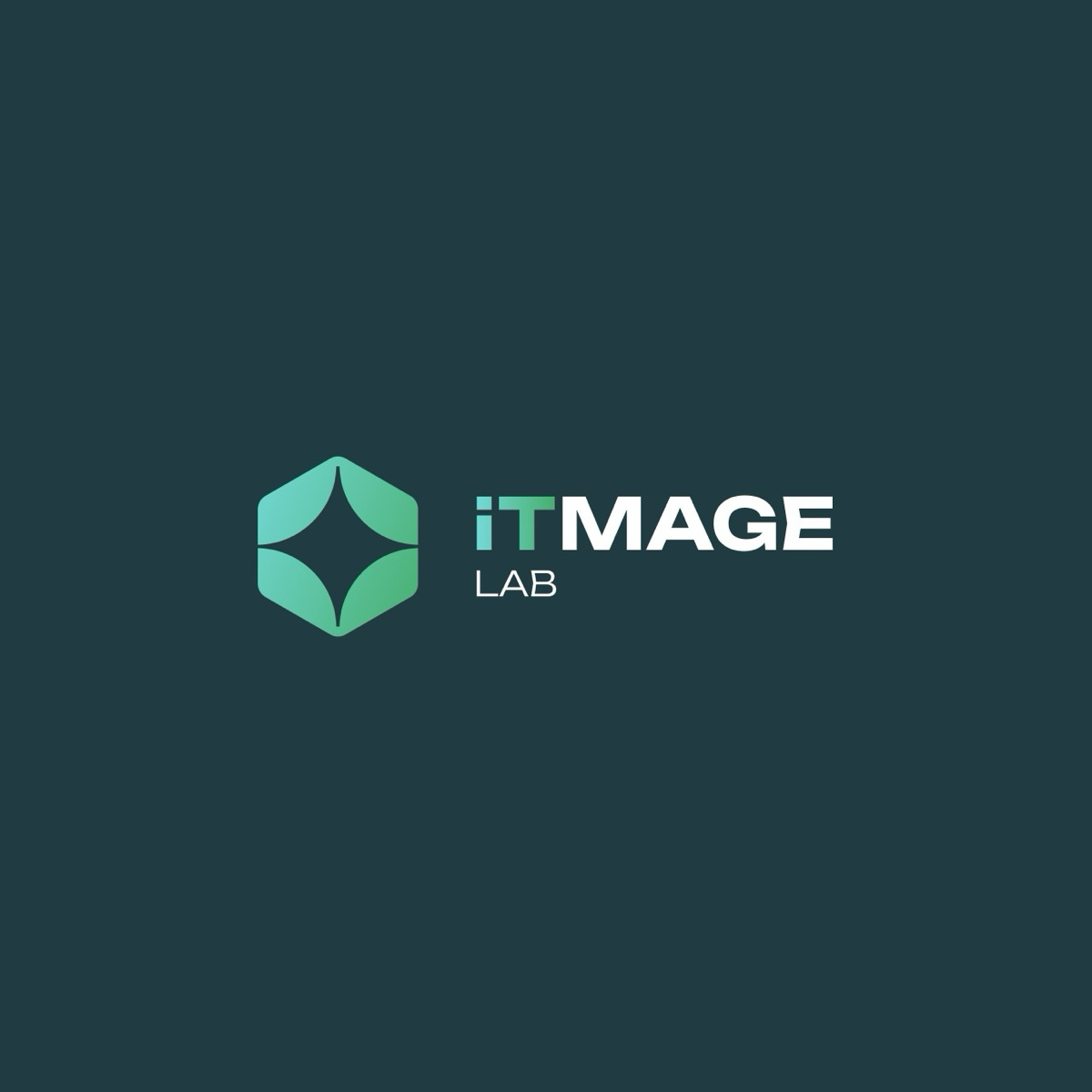 iTmageLAB
