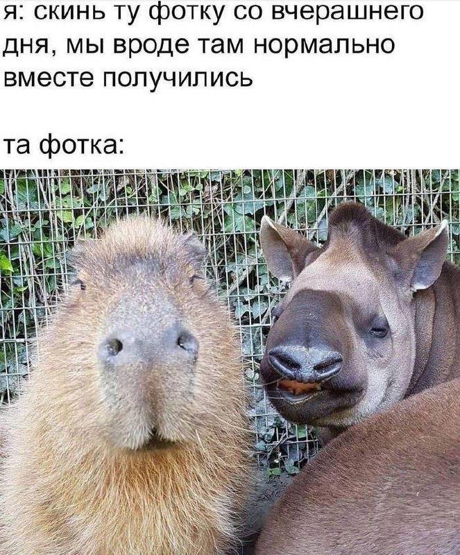 Мем
Продолжаю рубрику позавчерашний мем, мне нравится. 
Делись в комментариях своим любимым мемом прошлой недели*
#мемвшляпе | Сетка — социальная сеть от hh.ru