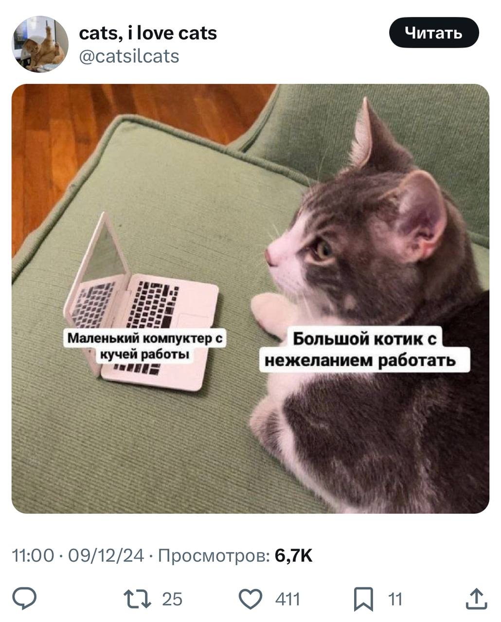 Нам в руки попала твоя фотография с первого рабочего дня недели😀 | Сетка — социальная сеть от hh.ru