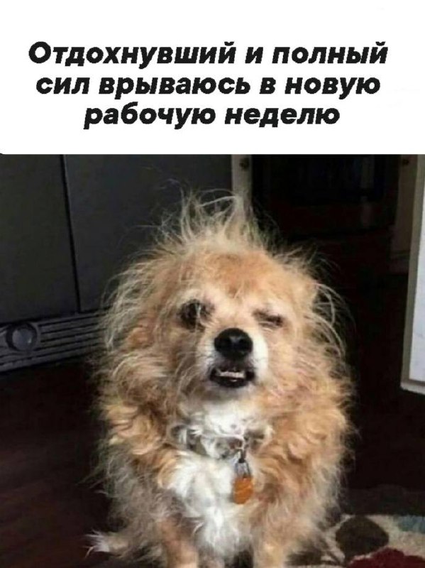 Всем хорошей недели ✨ | Сетка — социальная сеть от hh.ru