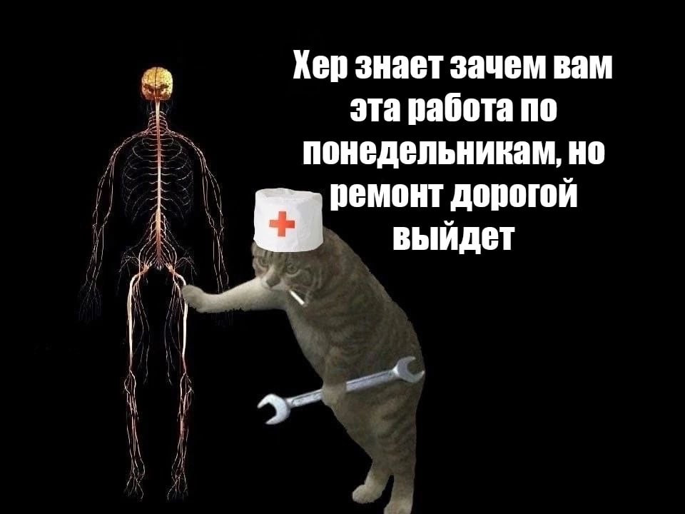➡️ отправь в телеге мем коллеге | Сетка — социальная сеть от hh.ru