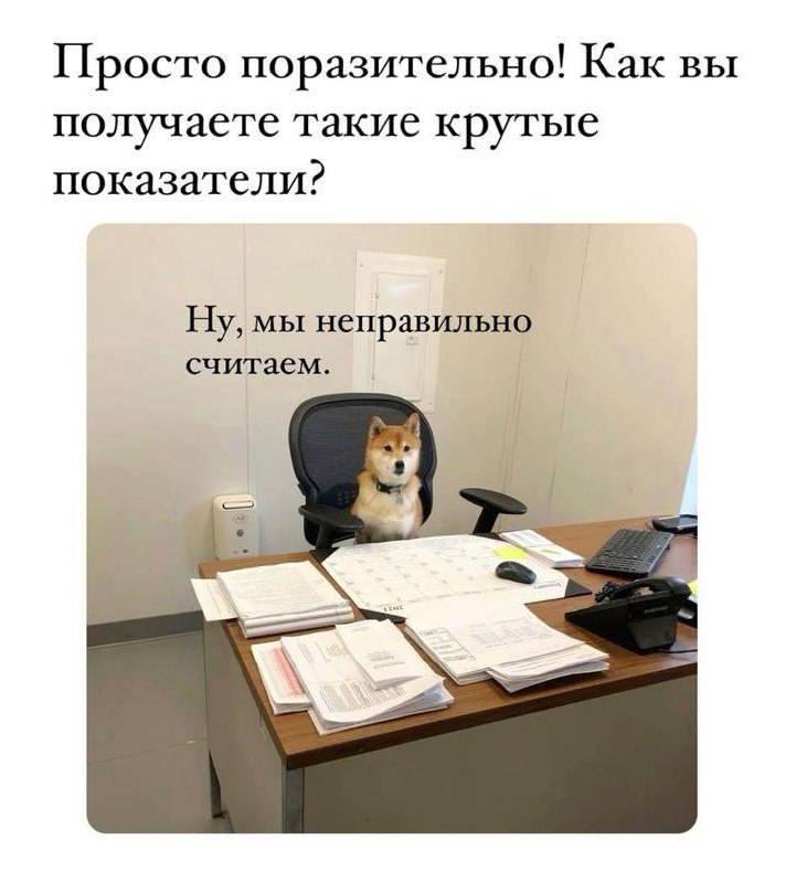Просматривая кейсы других специалистов, часто удивляюсь показателям.
Заявки в сверхконкурентных нишах по цене клика в них, объемы лидов выше емкости рынка и другие чудеса | Сетка — социальная сеть от hh.ru