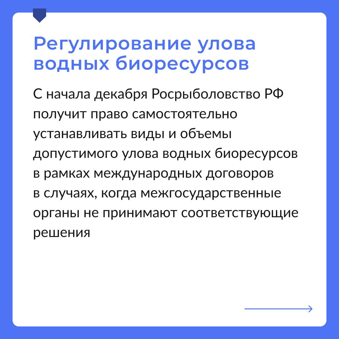 Законодательство в декабре 2024 | Сетка — социальная сеть от hh.ru