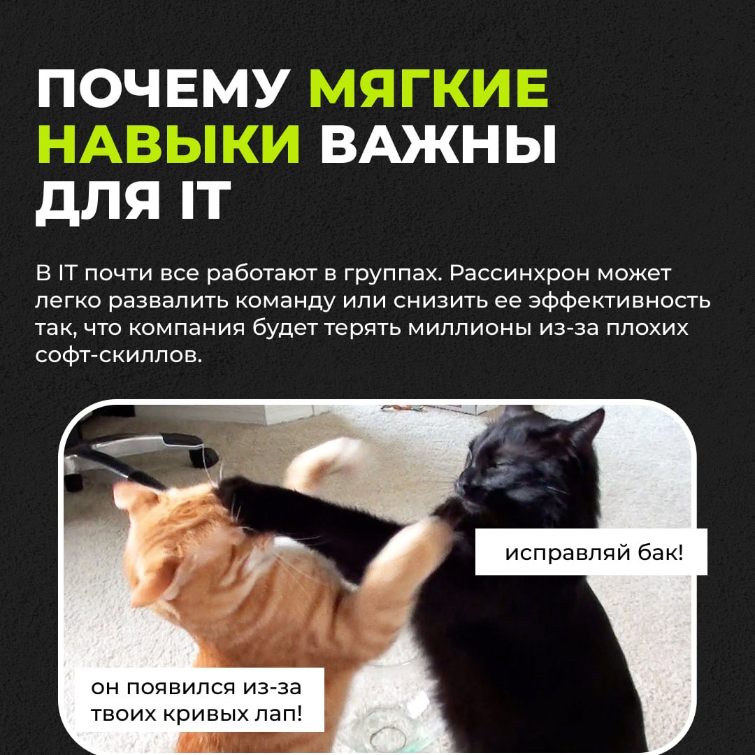 Кто такие эти ваши софт-скиллы | Сетка — социальная сеть от hh.ru