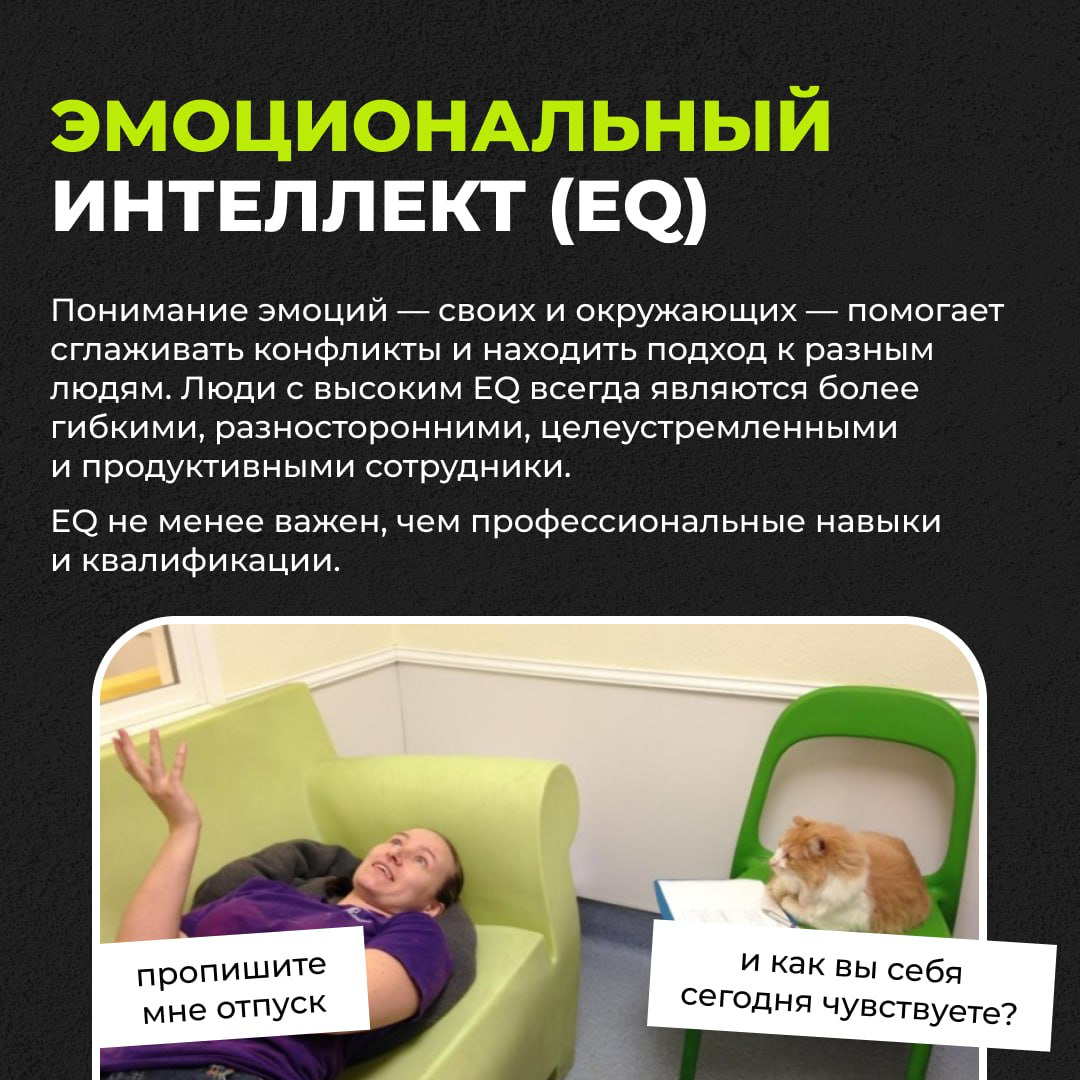 Кто такие эти ваши софт-скиллы | Сетка — социальная сеть от hh.ru