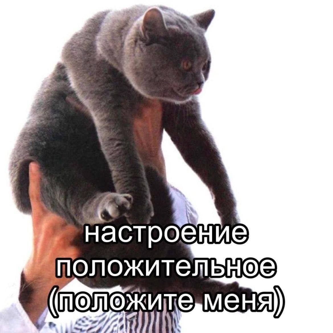 Наш прод | Сетка — социальная сеть от hh.ru