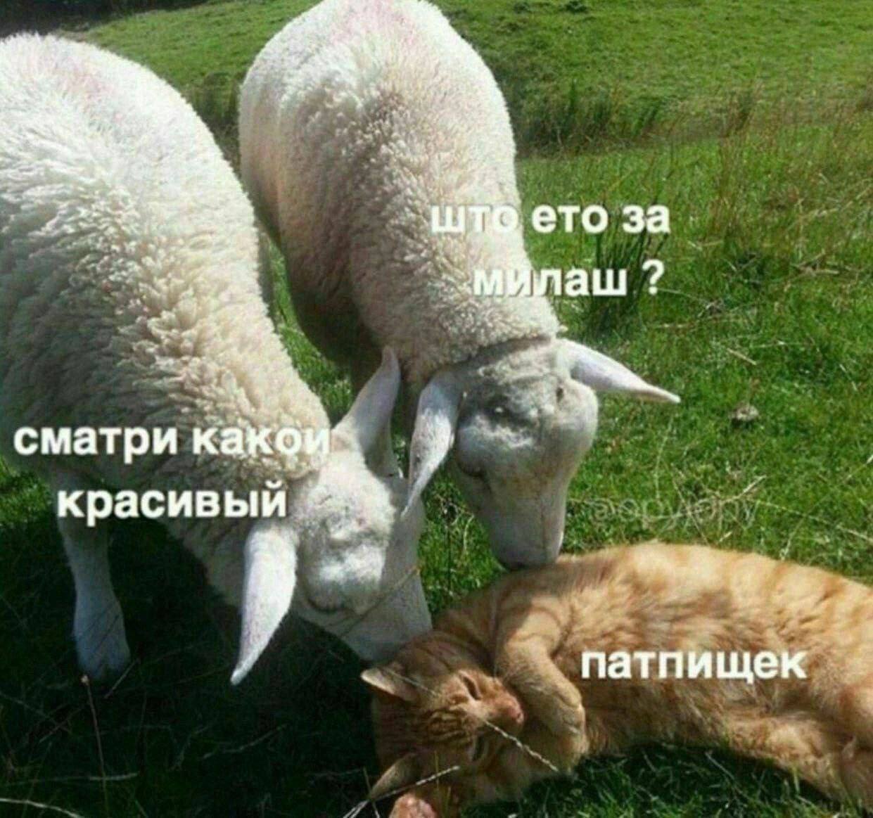 Всем привет!
Вы знаете как похорошело детство при Собянине!
Вчера отдала бешеные мильены в стоматологии, чтобы вылечить старшему пульпит. Говорит, что даже не больно было | Сетка — социальная сеть от hh.ru