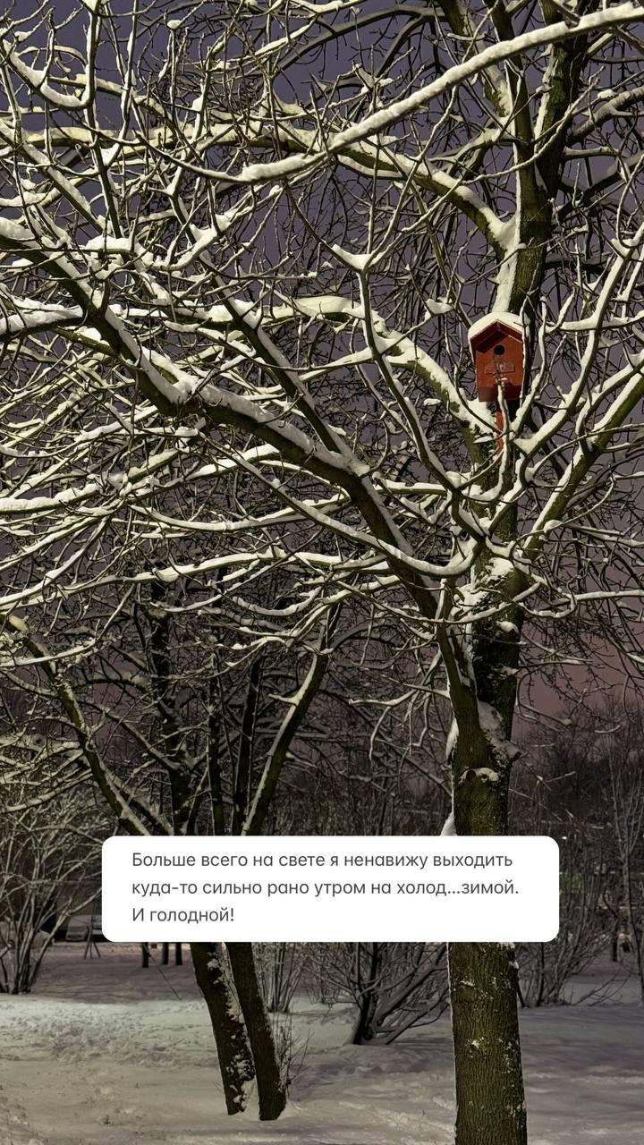 Рубрика «сколько там мне ещё осталось» 😂 или «ежегодный чекап»
Хотелось бы напомнить вам о том, что забота о своем здоровье превыше всего 🫶🏻 и важно это делать превентивно, а не когда все болит и хвос... | Сетка — социальная сеть от hh.ru
