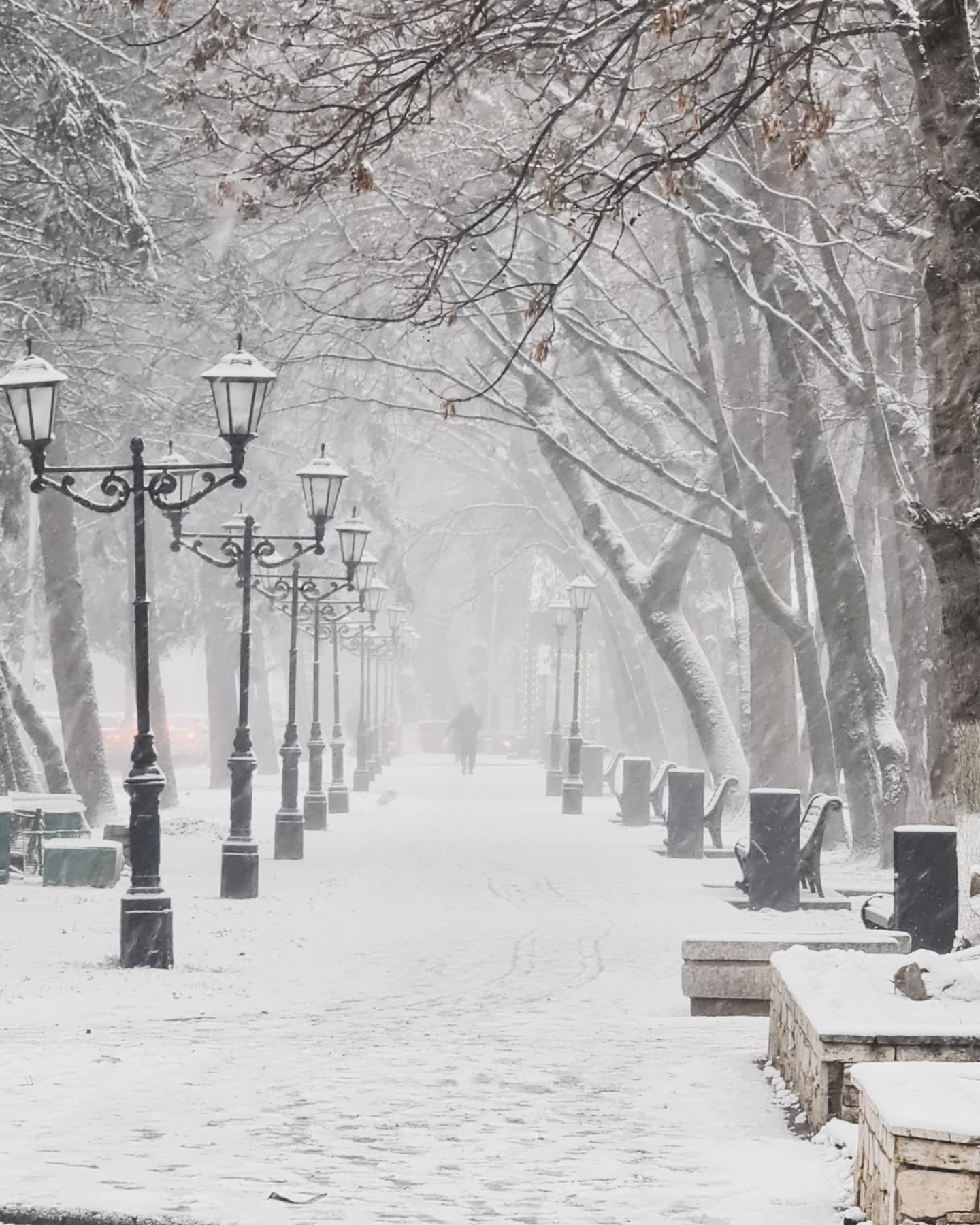 ❄ Бархатная красота декабря в Пятигорске
📷 bashkomary
@stavropolyevibe | Сетка — социальная сеть от hh.ru