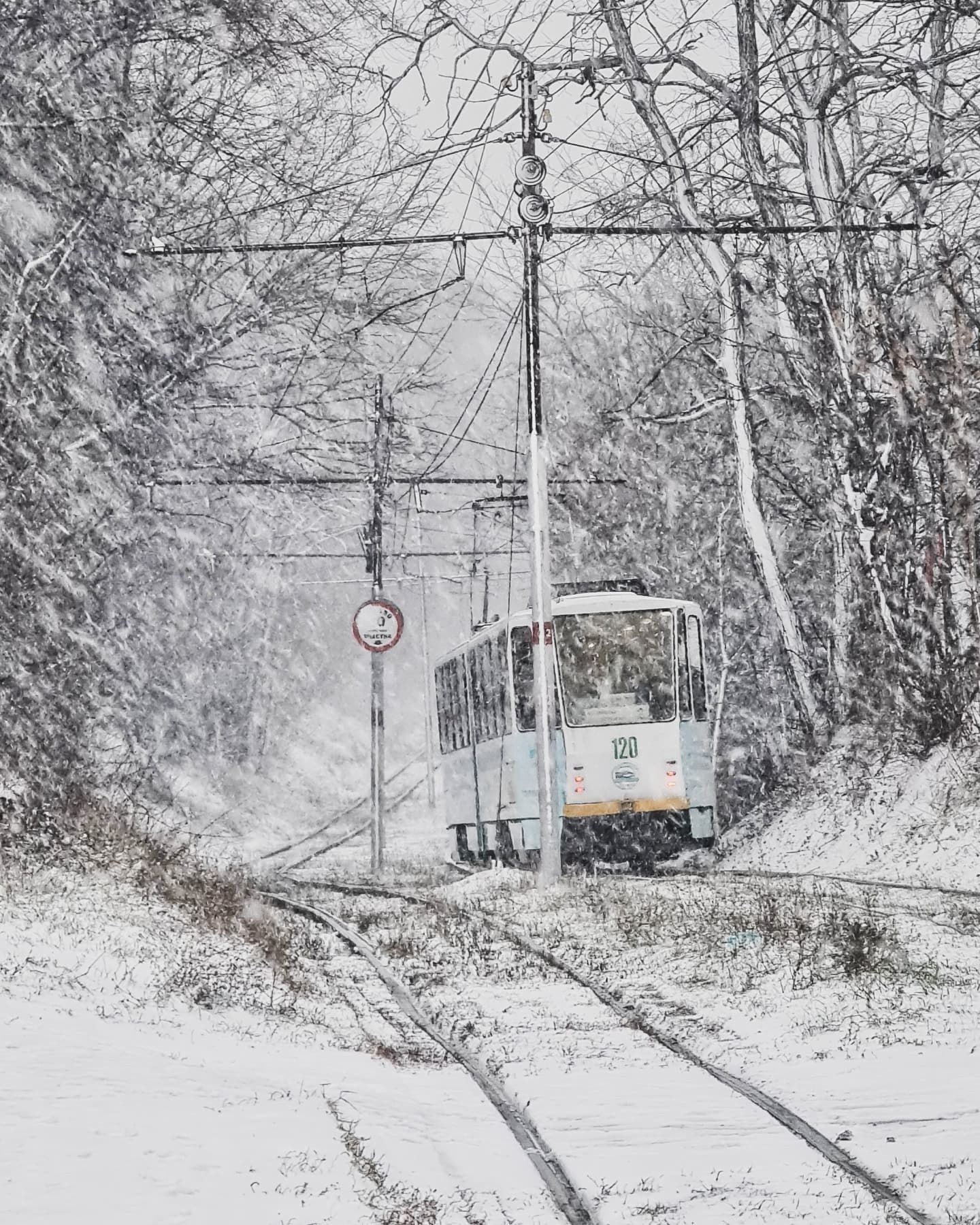 ❄ Бархатная красота декабря в Пятигорске
📷 bashkomary
@stavropolyevibe | Сетка — социальная сеть от hh.ru