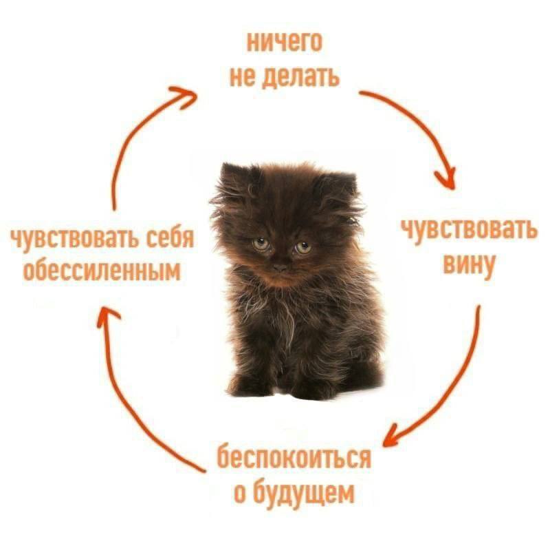 Под конец года | Сетка — социальная сеть от hh.ru