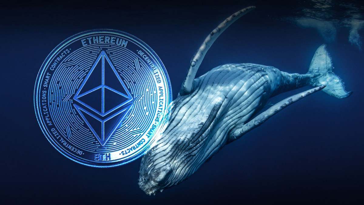 Рекордные запасы эфириумов у китов указывают на рост курса ETH | Сетка — социальная сеть от hh.ru