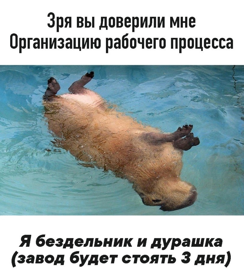 ➡️ отправь в телеге мем коллеге | Сетка — социальная сеть от hh.ru