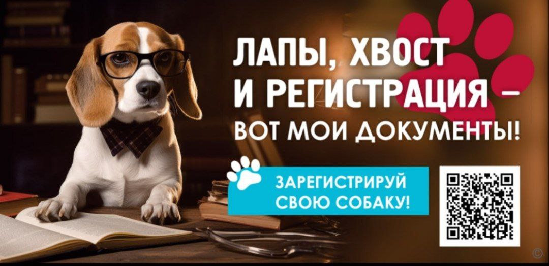 🐶В Барнауле выпустили социальную рекламу, которая напоминает владельцам собак о том, что их питомцев нужно регистрировать и ставить им метки.
Креативщики постарались с фотоссесией пёселей и слоганами | Сетка — социальная сеть от hh.ru