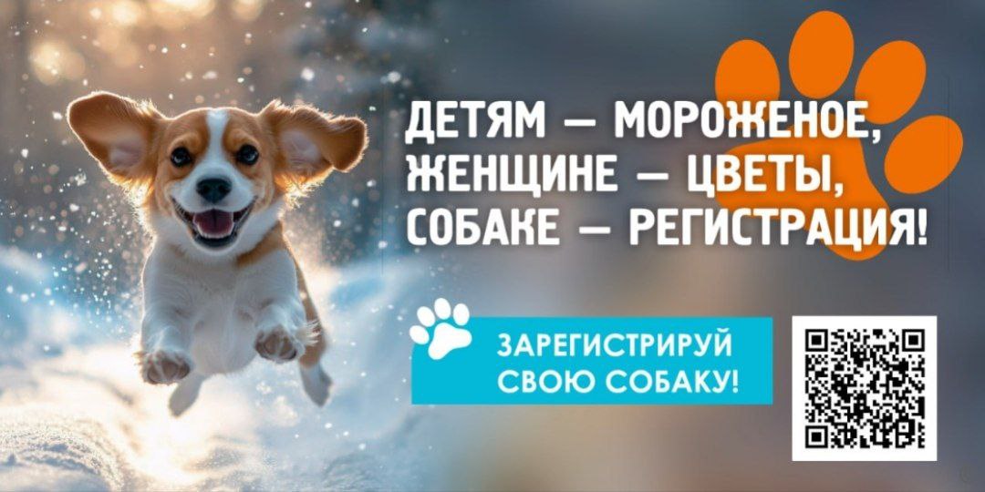 🐶В Барнауле выпустили социальную рекламу, которая напоминает владельцам собак о том, что их питомцев нужно регистрировать и ставить им метки.
Креативщики постарались с фотоссесией пёселей и слоганами | Сетка — социальная сеть от hh.ru