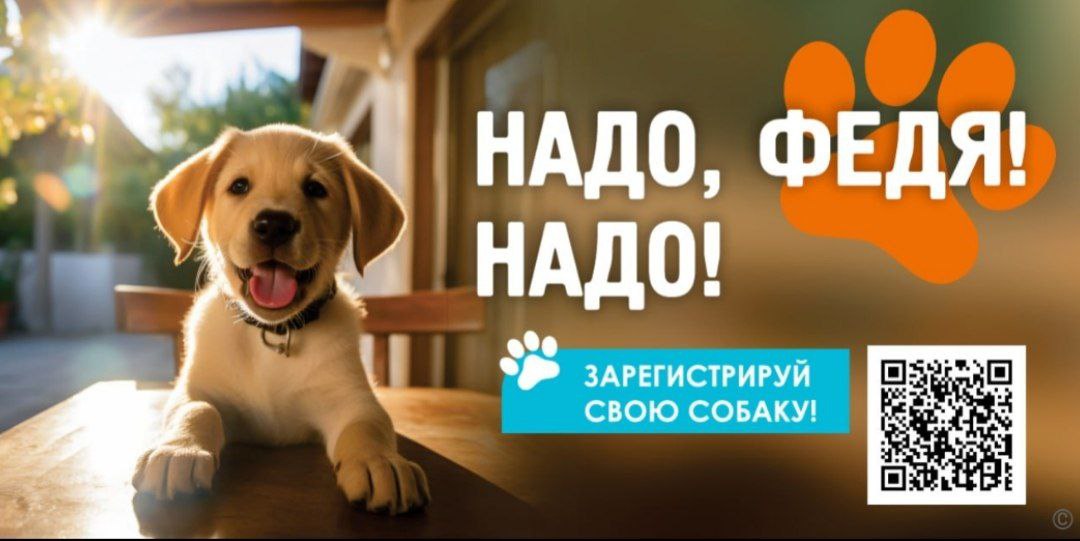 🐶В Барнауле выпустили социальную рекламу, которая напоминает владельцам собак о том, что их питомцев нужно регистрировать и ставить им метки.
Креативщики постарались с фотоссесией пёселей и слоганами | Сетка — социальная сеть от hh.ru