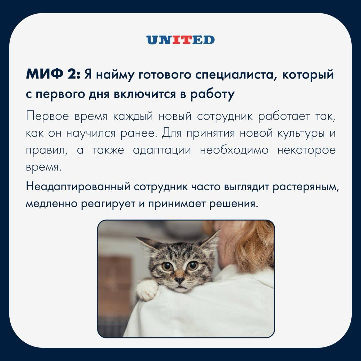 А что если взять и развеять мифы о подборе?
Листай картинки 🤩 и присоединяйся к нашему комьюнити в телеграмме 🤍 | Сетка — социальная сеть от hh.ru