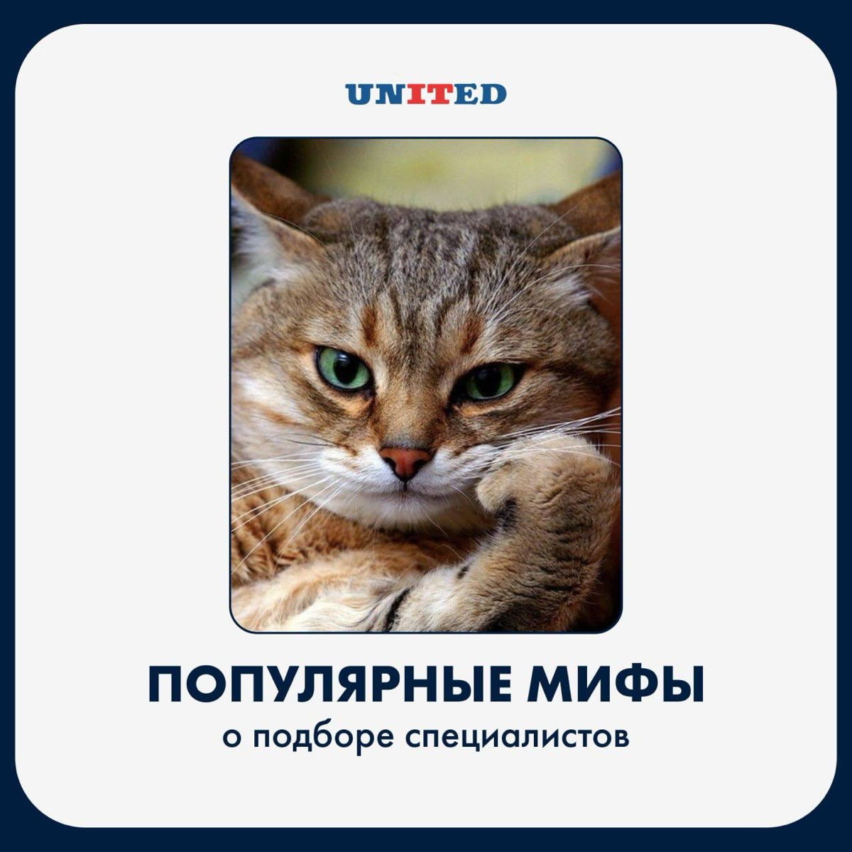 А что если взять и развеять мифы о подборе?
Листай картинки 🤩 и присоединяйся к нашему комьюнити в телеграмме 🤍 | Сетка — социальная сеть от hh.ru
