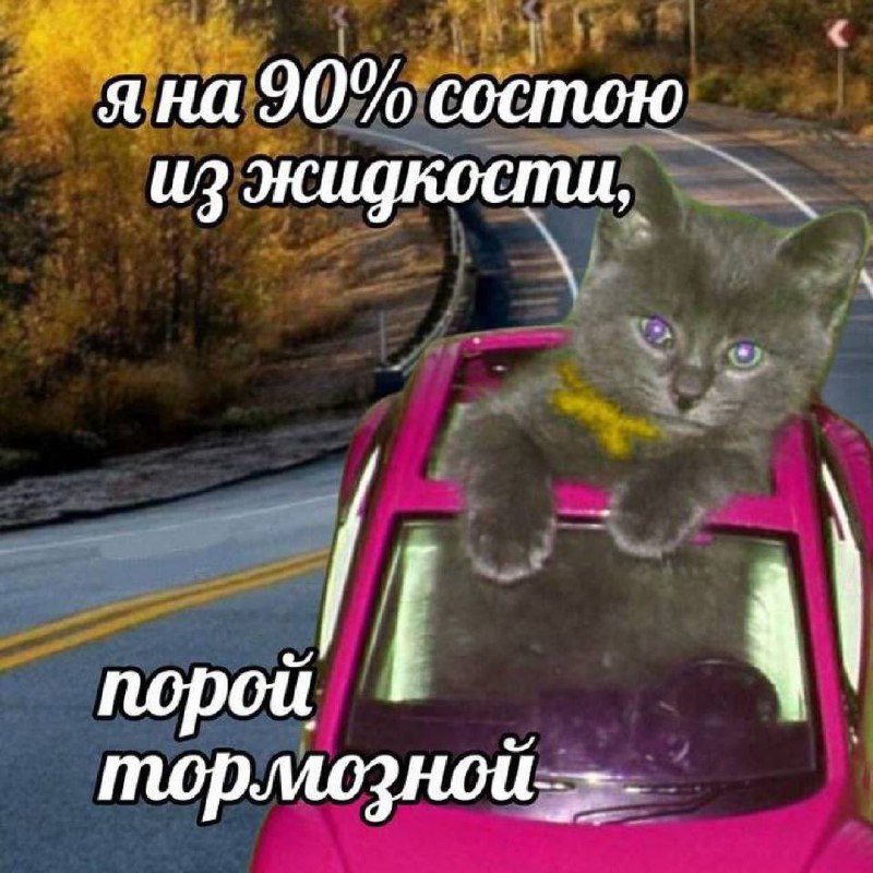Когда только устроился в новый проект | Сетка — социальная сеть от hh.ru