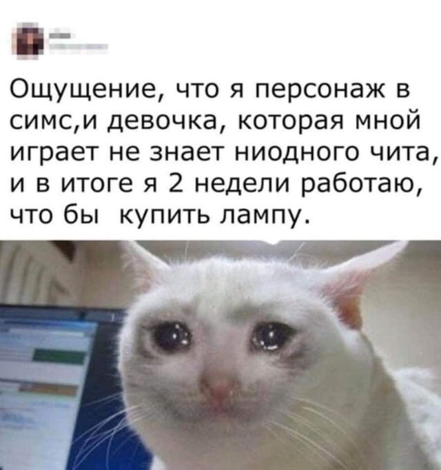 ➡️ отправь в телеге мем коллеге | Сетка — социальная сеть от hh.ru