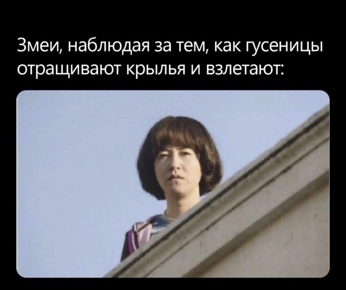 Извините,декабрь,все мемы про боль и разочарование | Сетка — социальная сеть от hh.ru