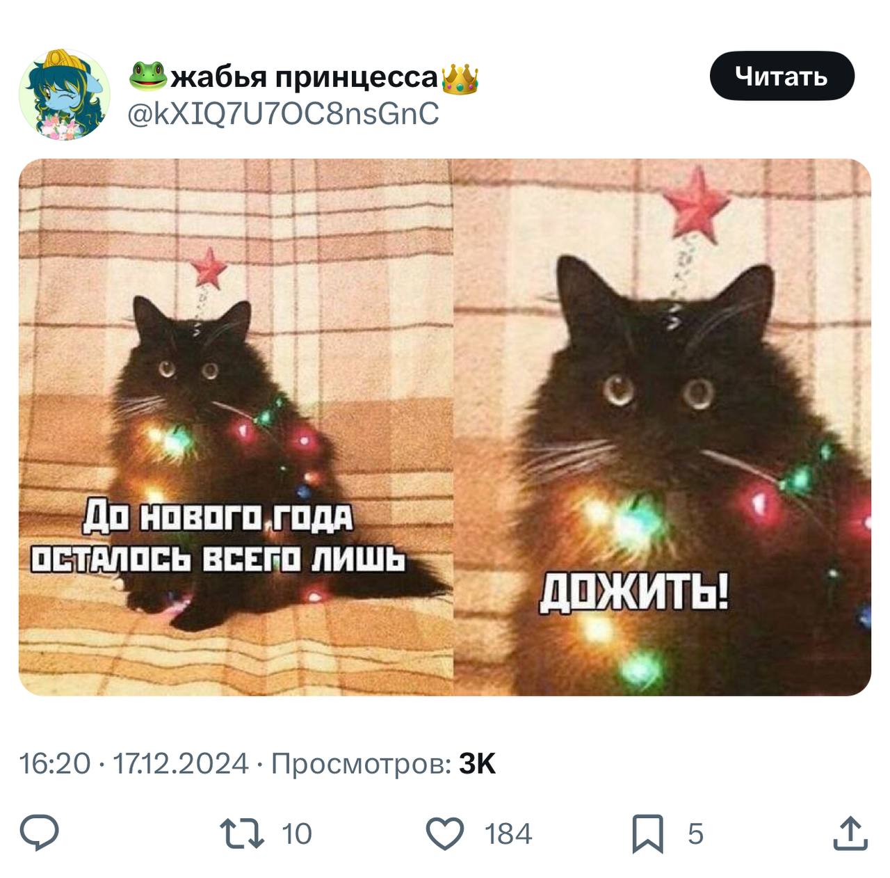Коллеги, доживём до Нового года 🎉 | Сетка — социальная сеть от hh.ru