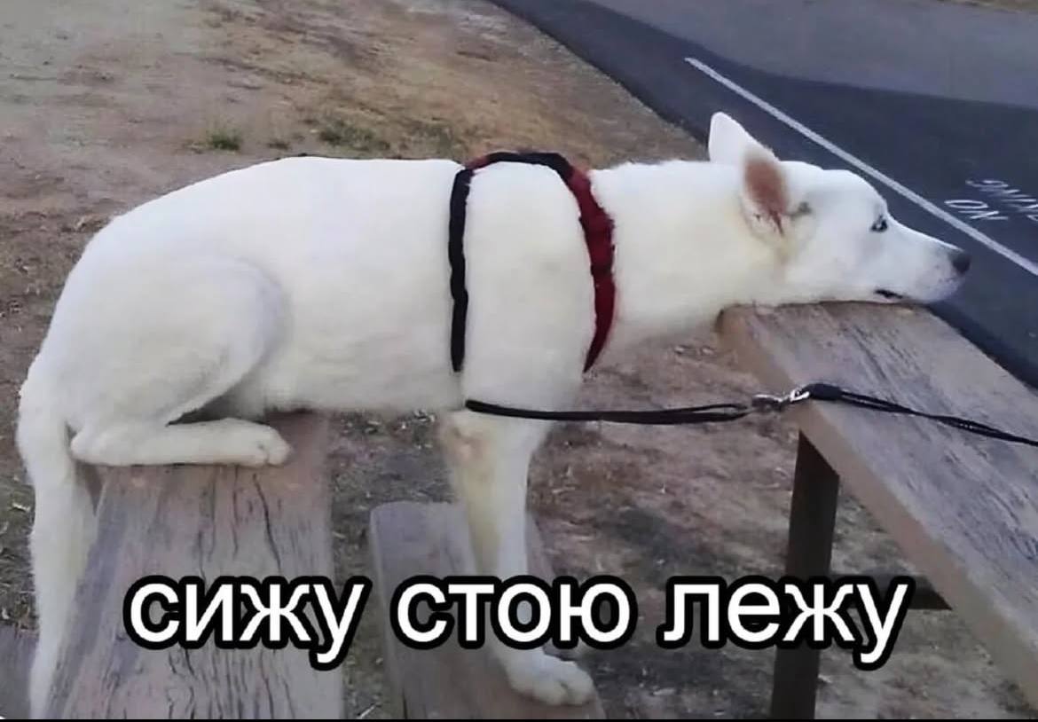 Хотела написать текст про самоцензуру, но самоцензура взяла верх, поэтому ловите картинку | Сетка — социальная сеть от hh.ru