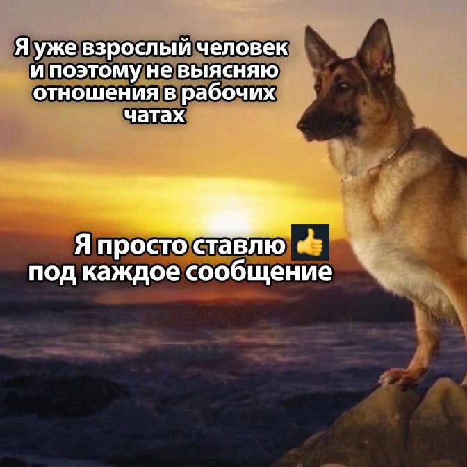 Сетка — социальная сеть от hh.ru