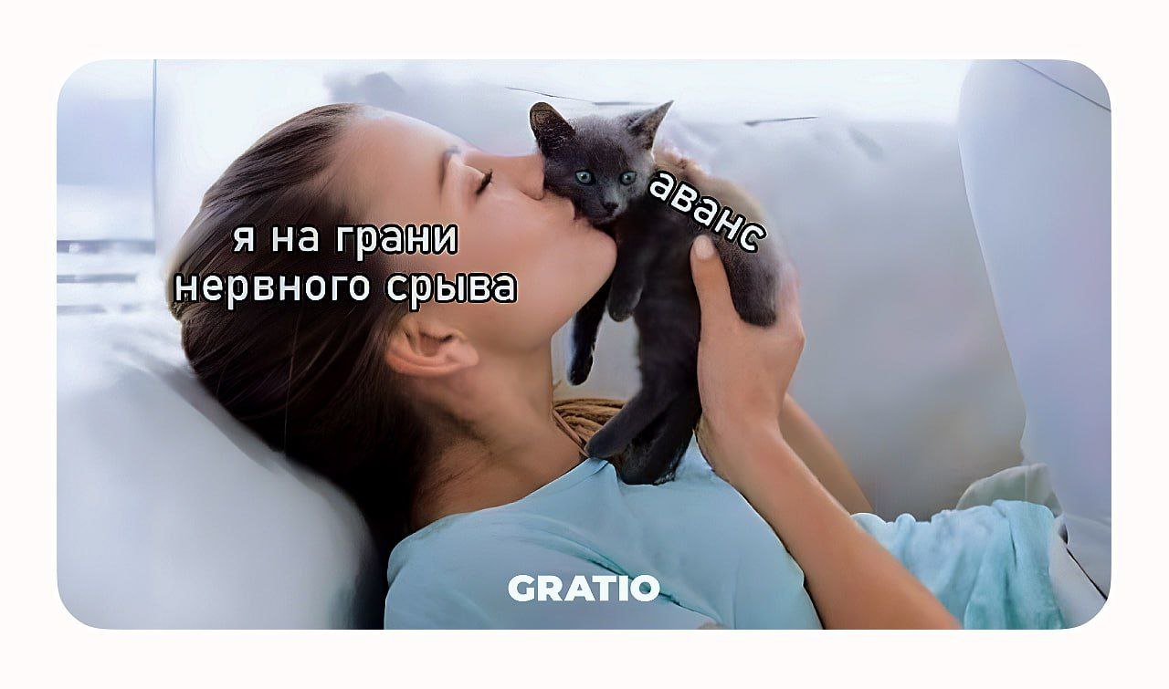 Планируем инвестировать весь аванс в оливье😎 | Сетка — социальная сеть от hh.ru