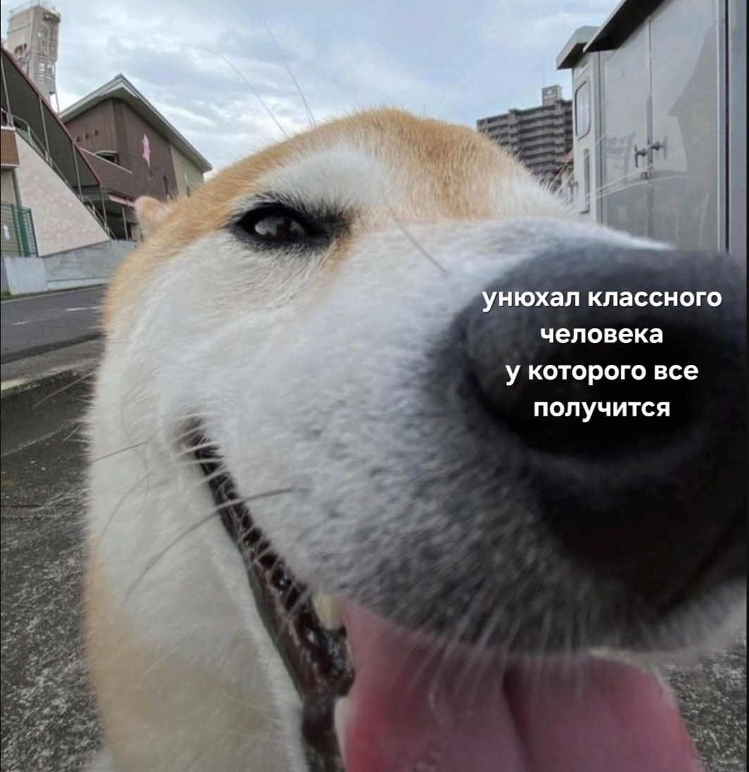 Верьте в себя 🤍 | Сетка — социальная сеть от hh.ru
