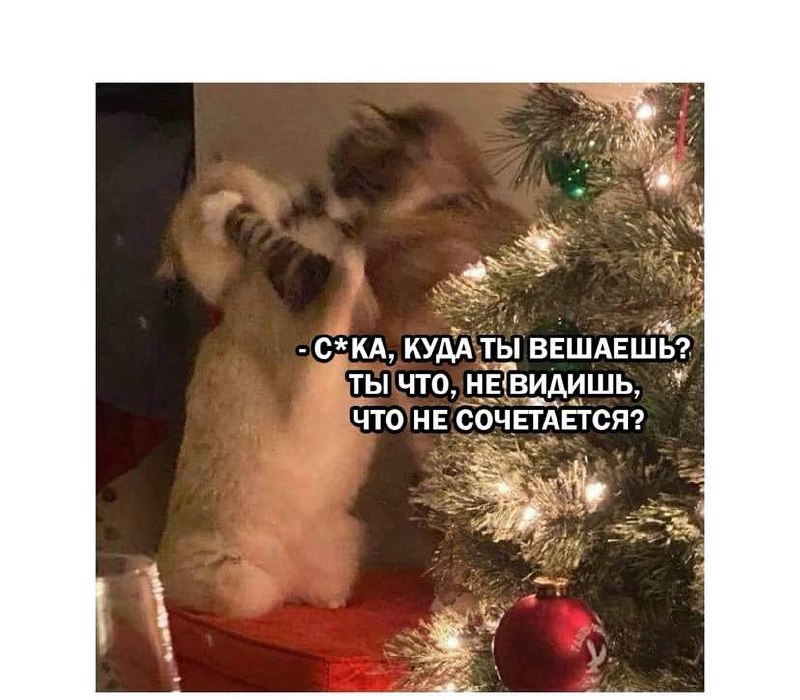 Новогодняя порция мемов подъехала 😉🎉 | Сетка — социальная сеть от hh.ru