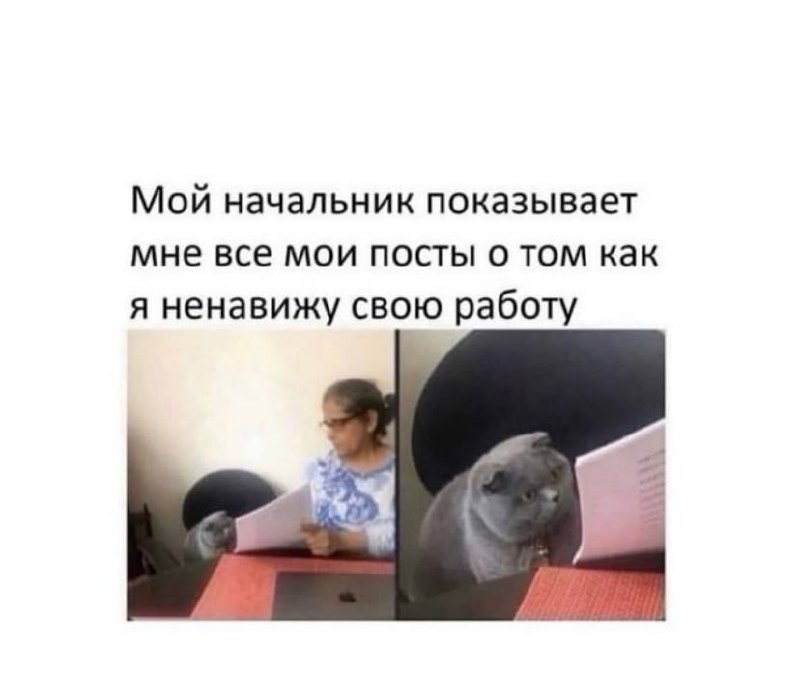 Новогодняя порция мемов подъехала 😉🎉 | Сетка — социальная сеть от hh.ru