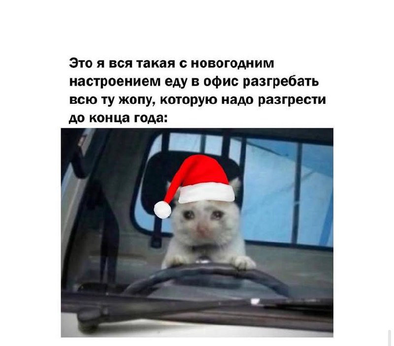 Новогодняя порция мемов подъехала 😉🎉 | Сетка — социальная сеть от hh.ru