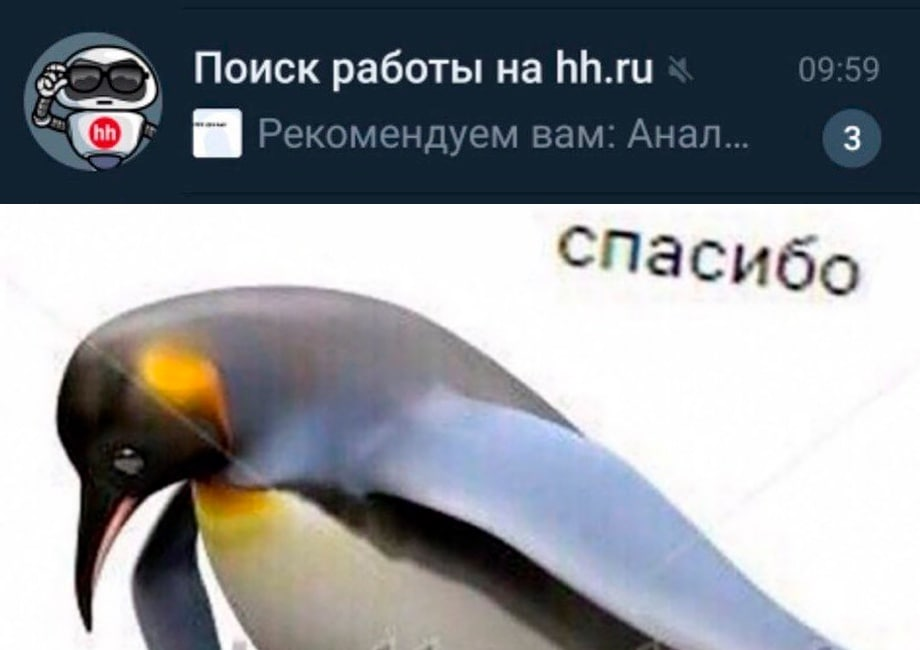 Пасеба, но не моё | Сетка — социальная сеть от hh.ru